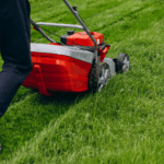 Lawn Care
