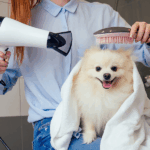 Pet Grooming Consultant