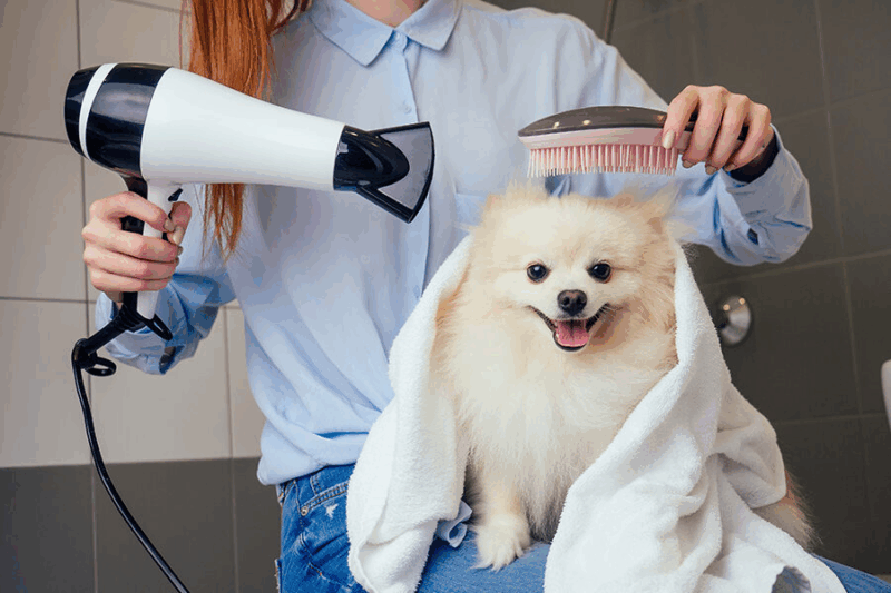 Pet Grooming Consultant